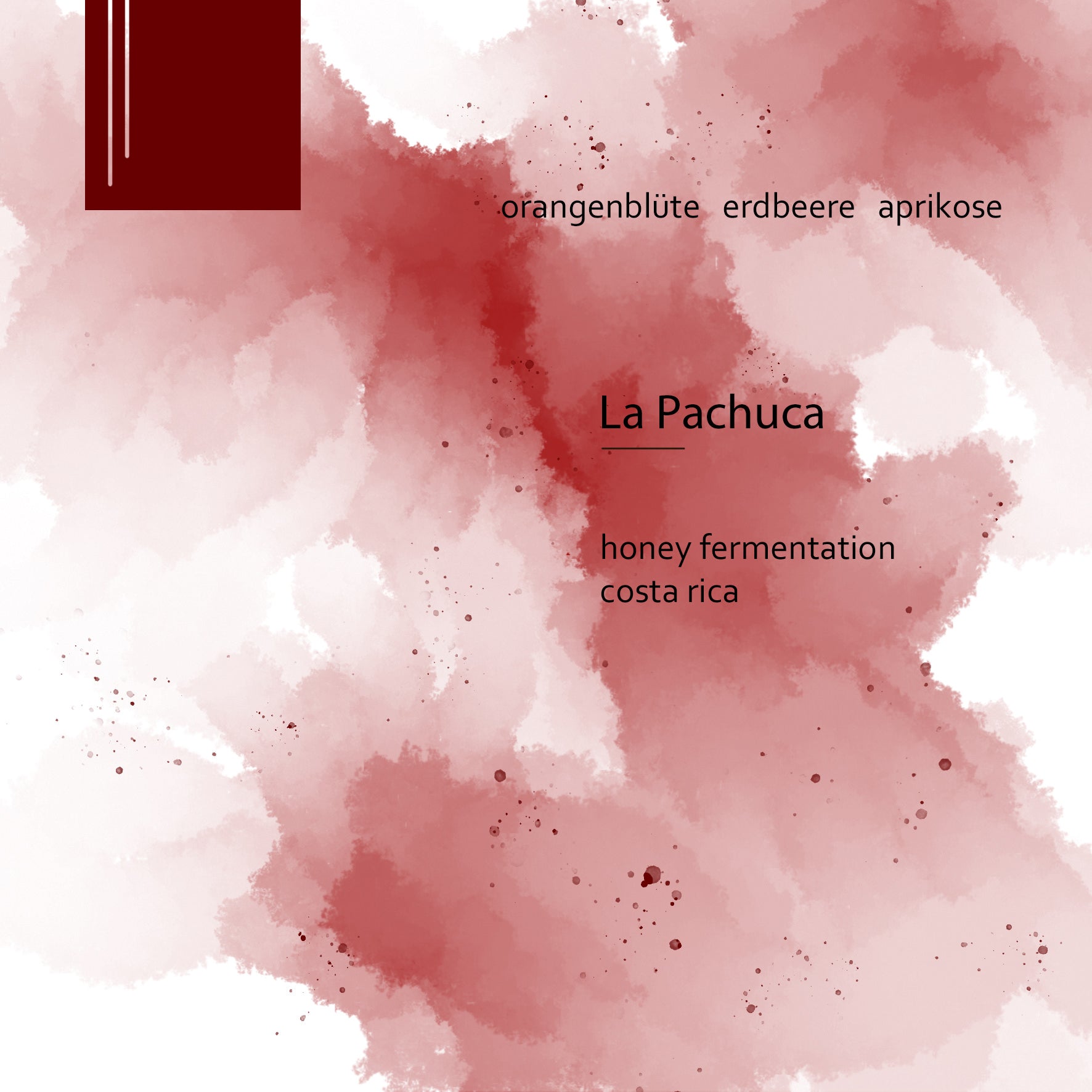 La Pachuca - Honey Fermentation