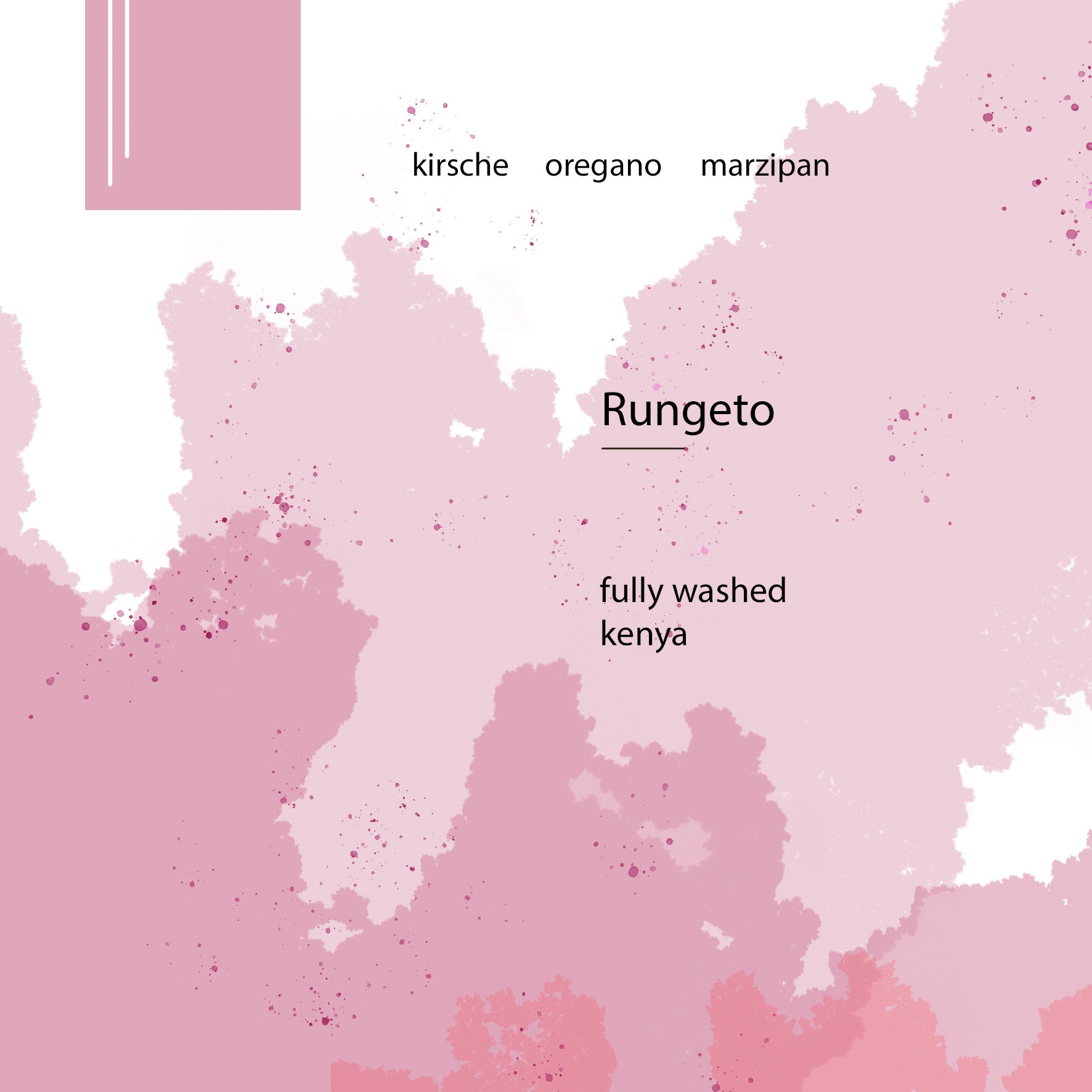 Rungeto - Kenia - Fully Washed