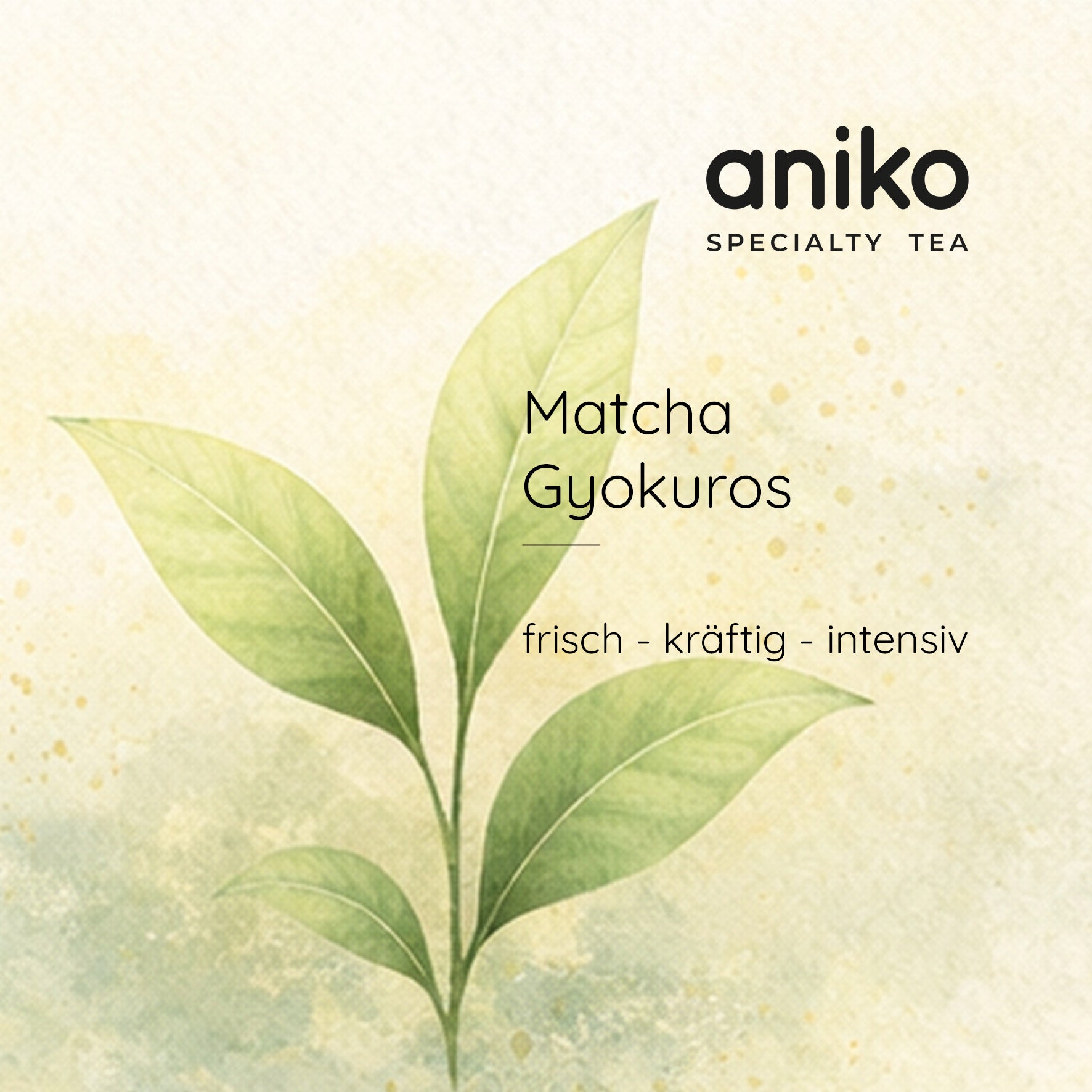 aniko Specialty Tea | Matcha Gyokuros