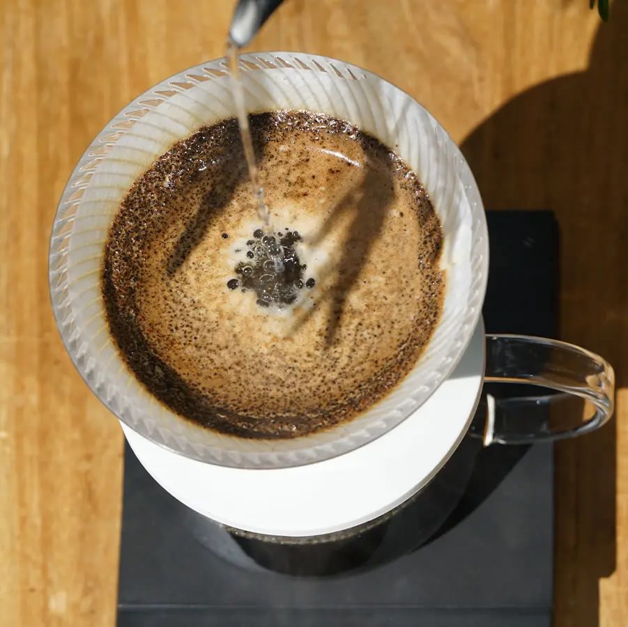 Hario V60 Dripper NEO | 02 | Transparent