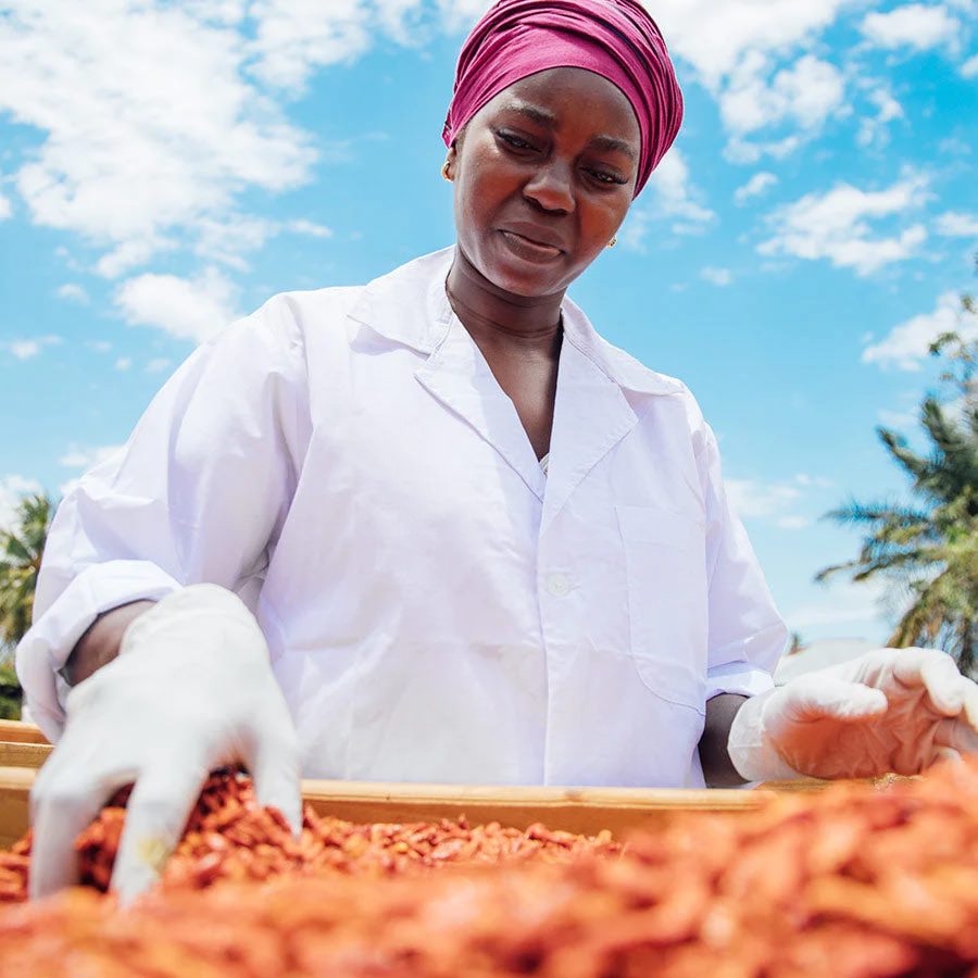 1001 Organic | Chilli Sea Salt