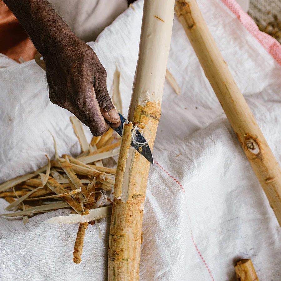 1001 Organic | Cinnamon Powder