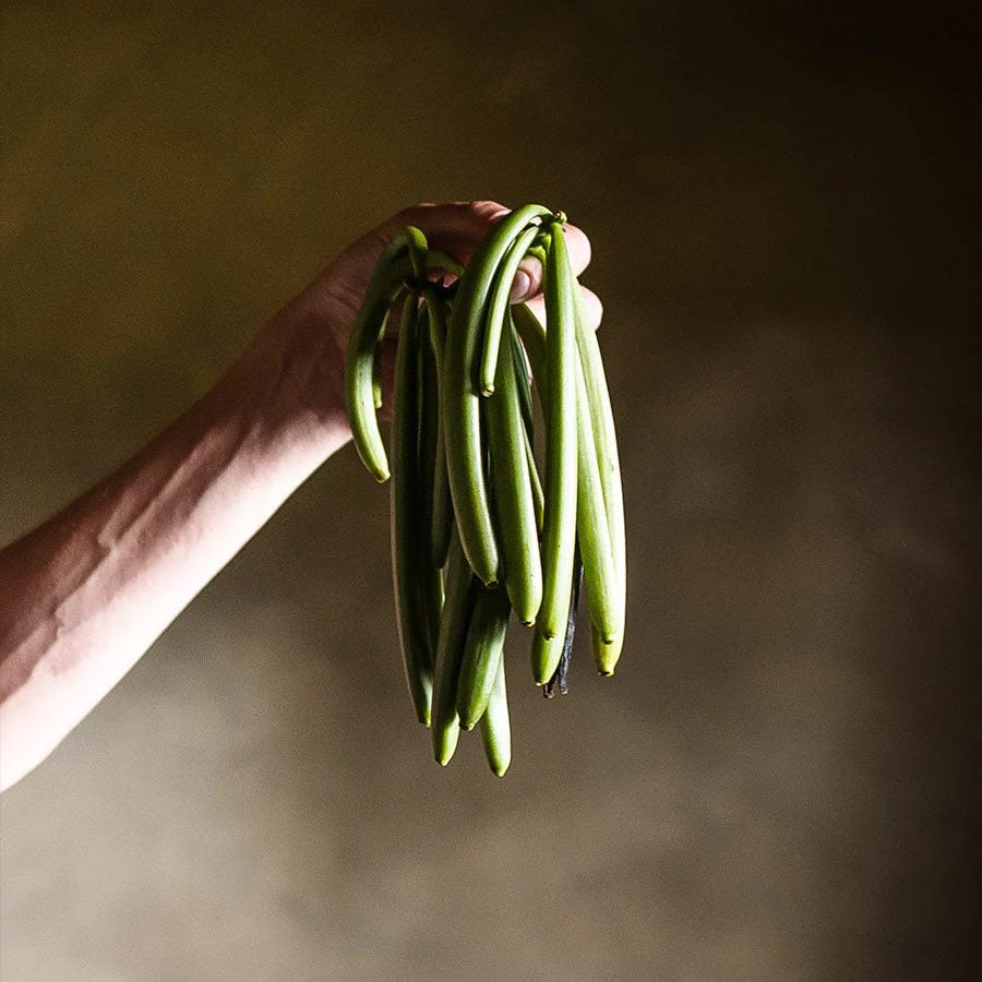 1001 Organic | Pemba Vanille Pulver