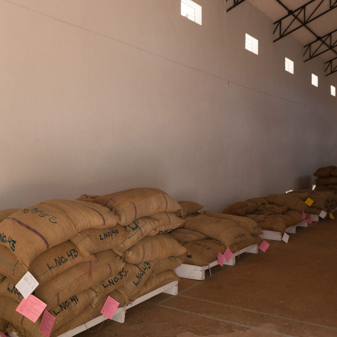 Kerkiecoondah commercial aniko Coffee Roasters