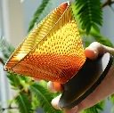 Hario V60 Dripper NEO | 02 | Amber