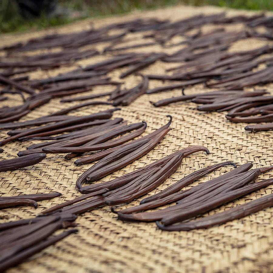 1001 Organic | Pemba Vanille Pulver