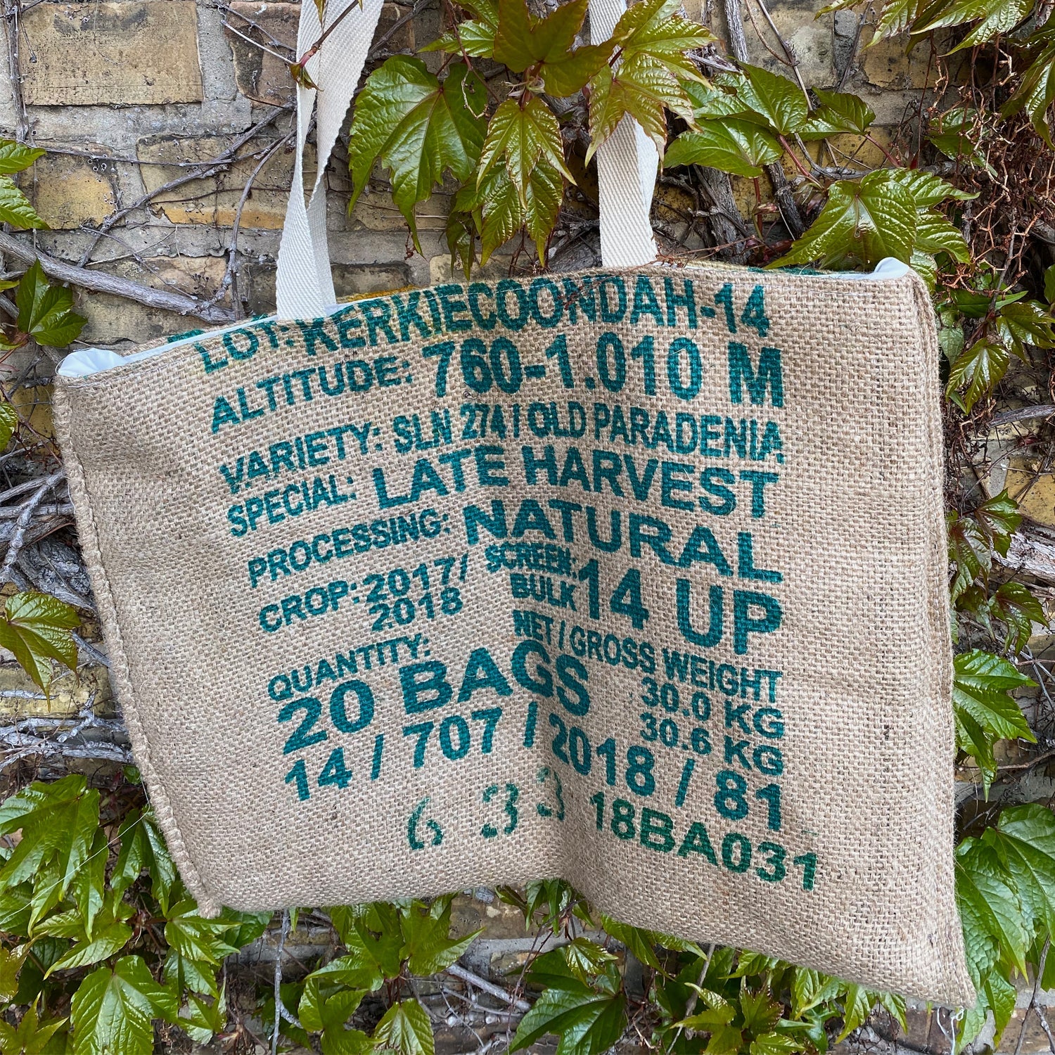 Tasche Kerkiecoondah 2 commercial aniko Coffee Roasters 