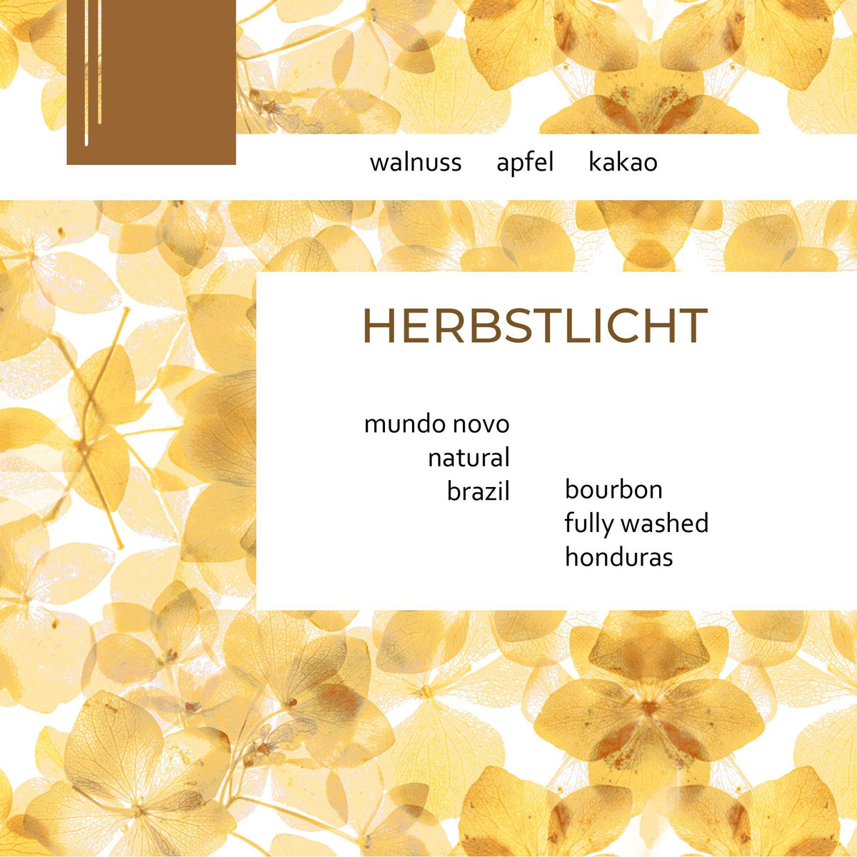 Photo of Herbstlicht – Brasilien & Honduras – Natural & Fully Washed Cuvée