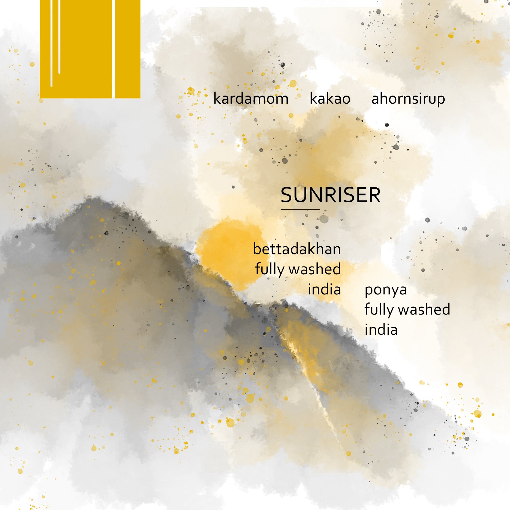 Photo of Sunriser – Indien – Fully Washed